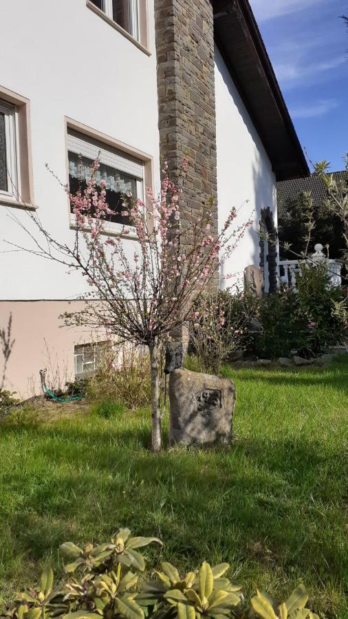 Im Vulkanland Fewo Bis 6 Personen Ettringen  Exterior photo